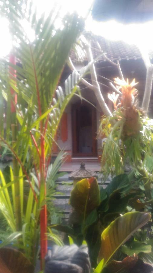 Dewi Antara Homestay Ubud Exteriér fotografie